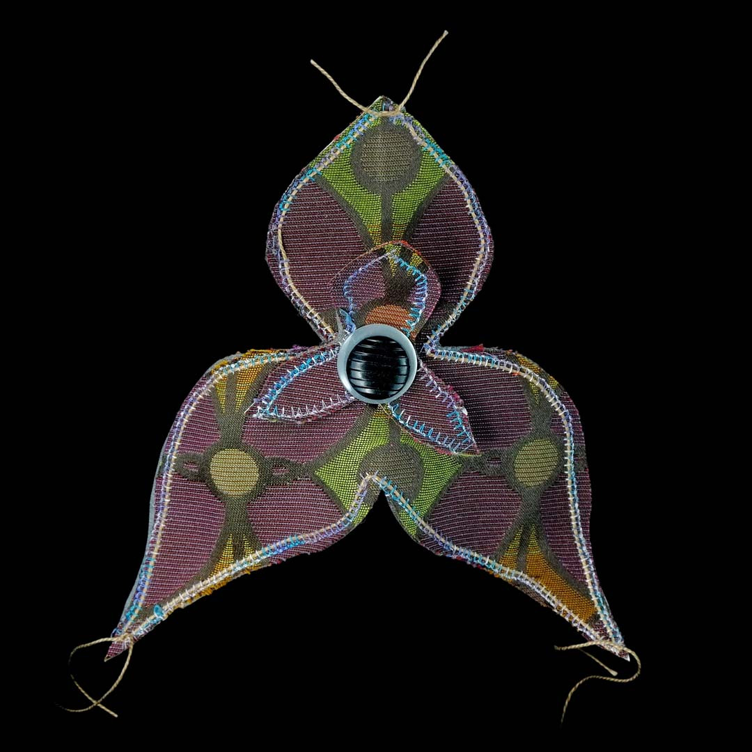 orquidia-violeta laso2