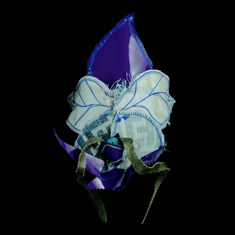 orquidia-violeta zorya